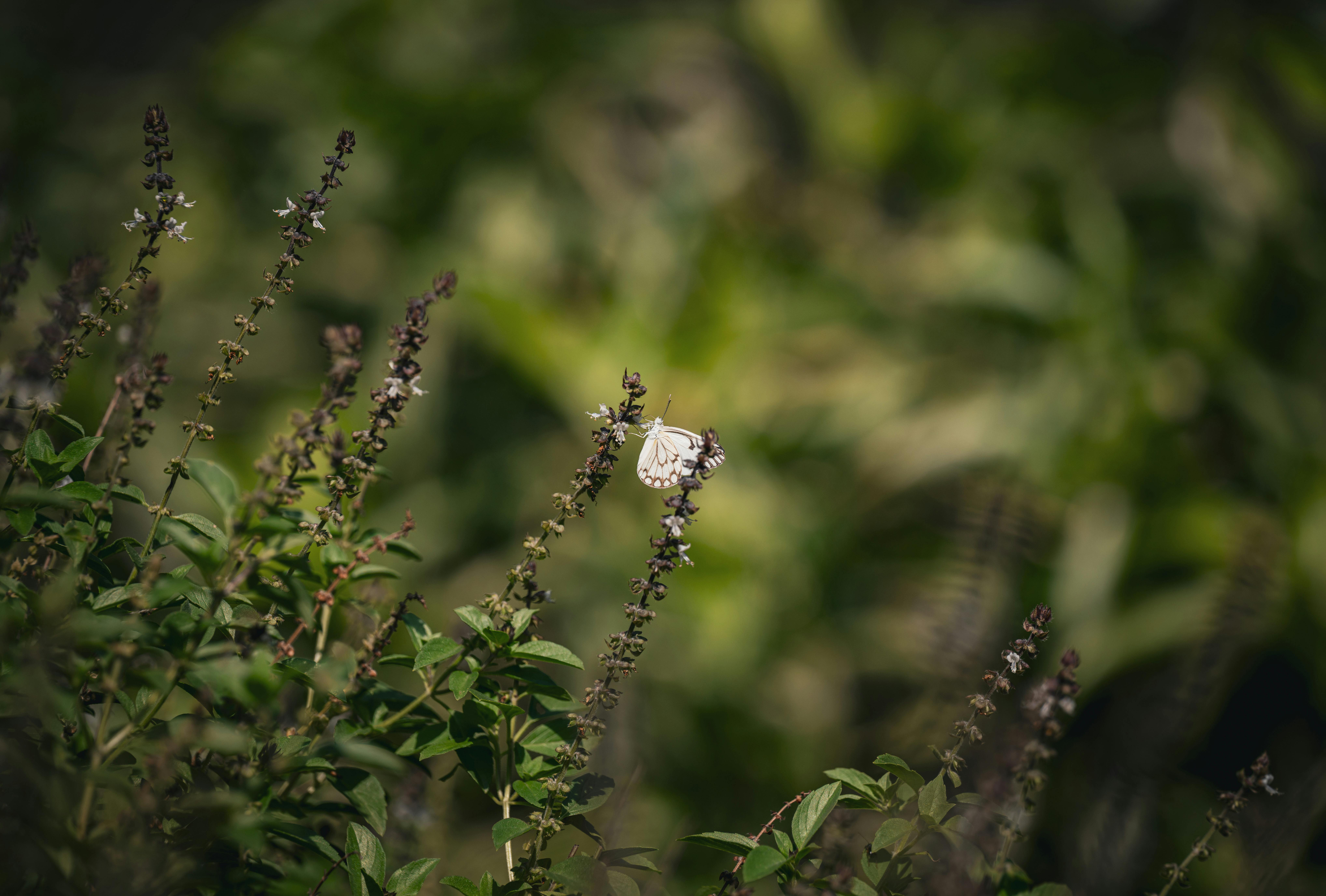 Blog Image 3