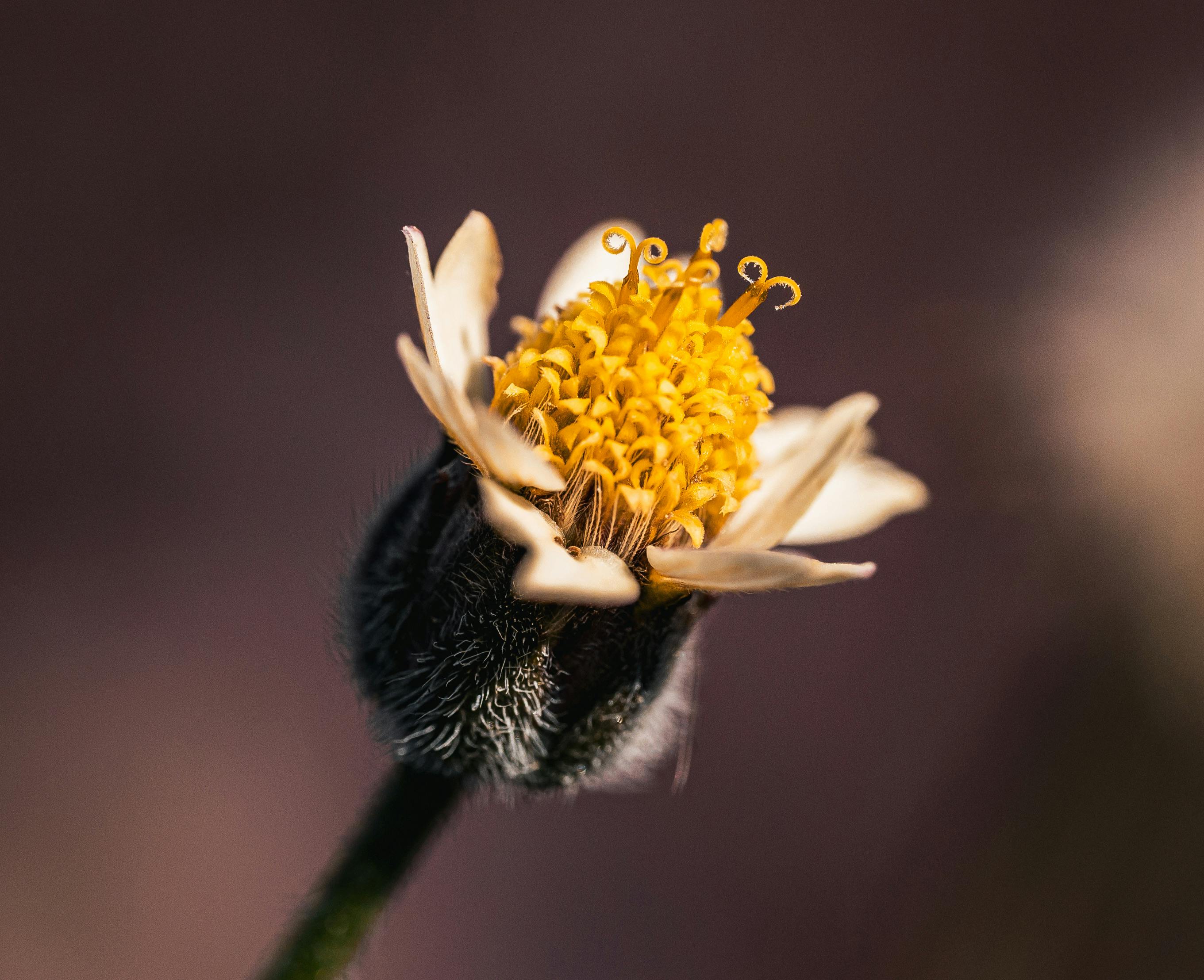 Blog Image 2